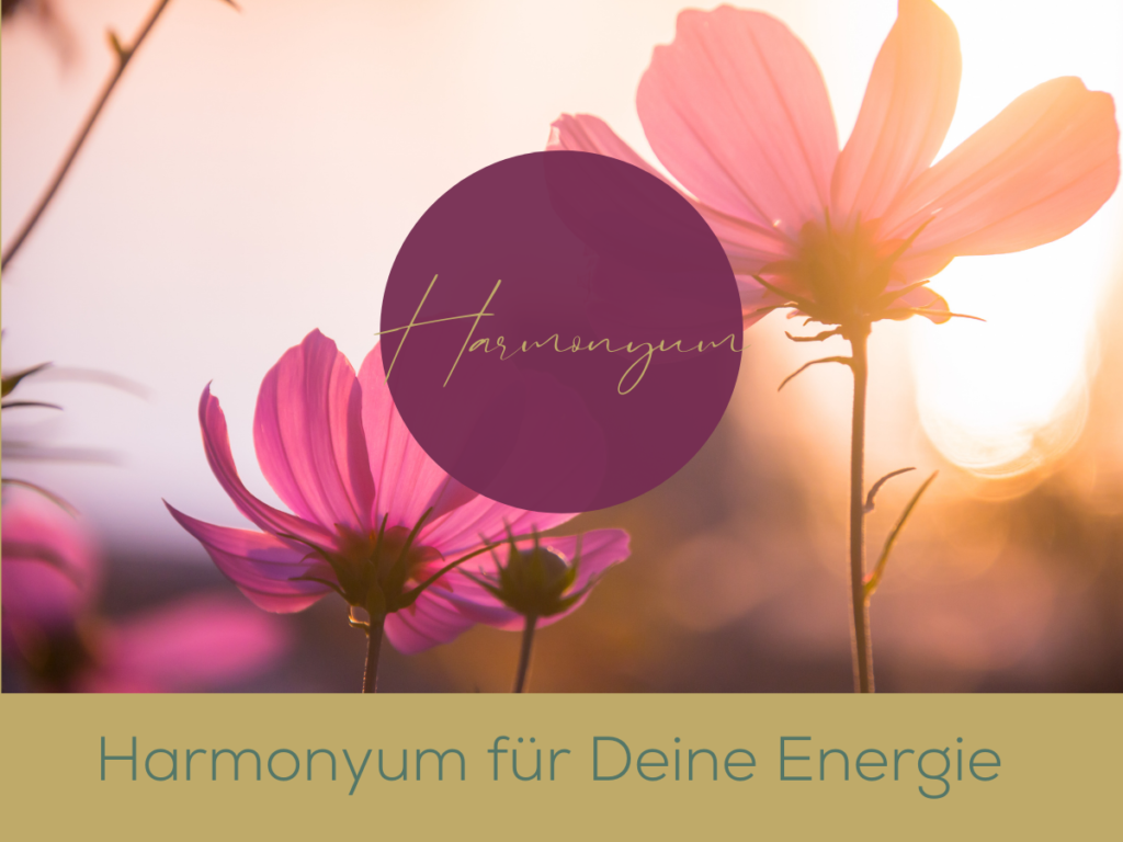 Harmonyum für deine Energie | Ronja Tschümperlin - Mindful Living Coach