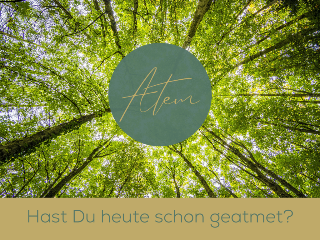 Atem und Entspannung: Heute schon geatmet? | Ronja Tschümperlin - Mindful Living Coach