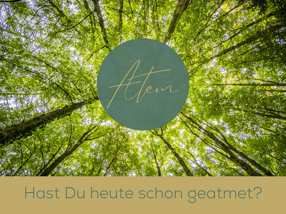 Heute schon geatmet? | Ronja Tschümperlin - Mindful Living Coach